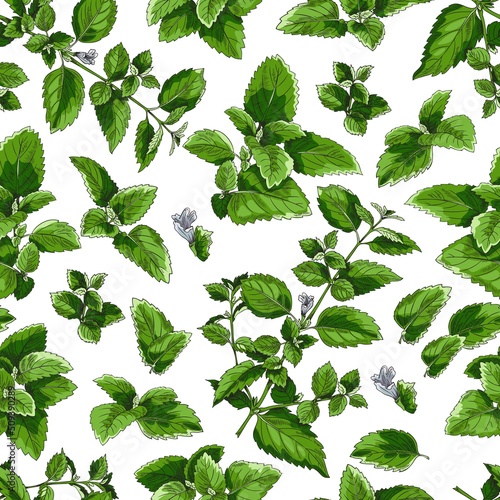 Seamless decorative pattern design with melissa sketch vector illustration.