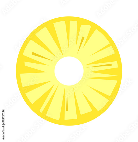 Pineapple Slice Tropical Fruit. Vector illustration