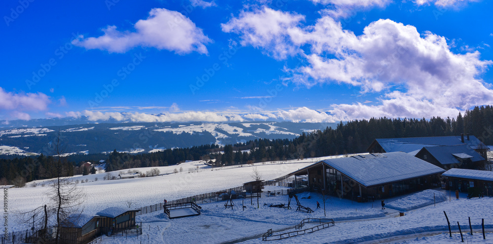 Das Allgäu Nahe Scheidegg, Schwaben/Bayern