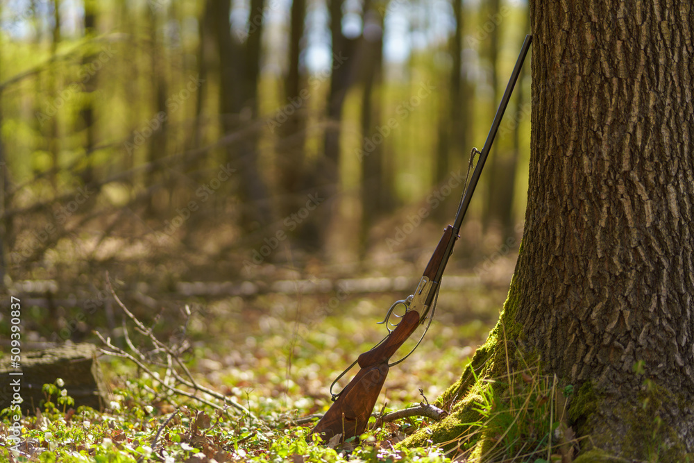 Hunter's rifle gun near tree in forest.