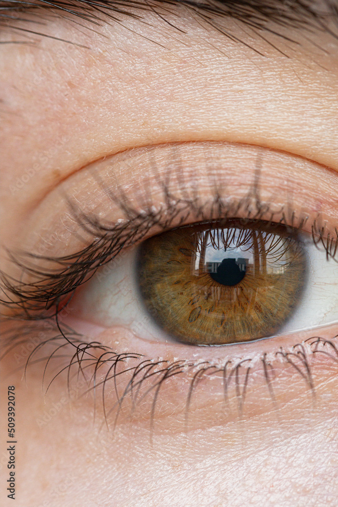 Fototapeta premium close up of eye