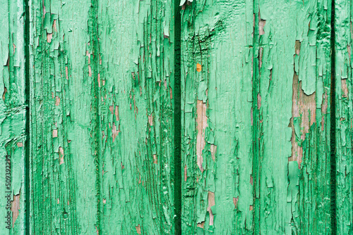 Old wooden planks with cracked peeling green paint. Painted texture background. Rustic background