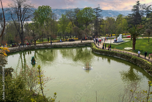 Pond decorated with tulips and grape plant in Emirgan Park, Istanbul.