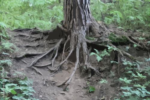 illustration textured tree roots on a slope