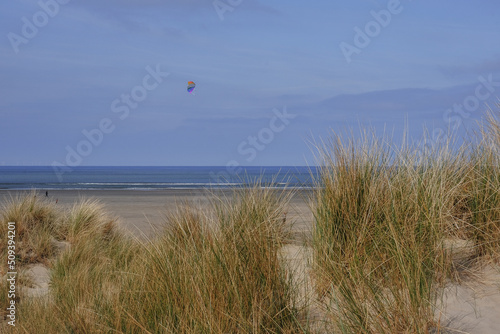 Tranquil picturesque landscape peaceful holiday vacation sandy dunes beach scenery at Belgian North Sea coast near Zeebruges, Belgium in summer with blue sky, mussels, trails and surf photo