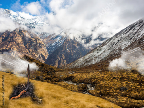 Cordyceps Sinensis. Nepal mountain, Himalaya, Traditional herbs, Is a mushroom that using for medicine and food.
