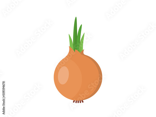 A whole onion with green leaves illustration.  Yellow onion icon. 