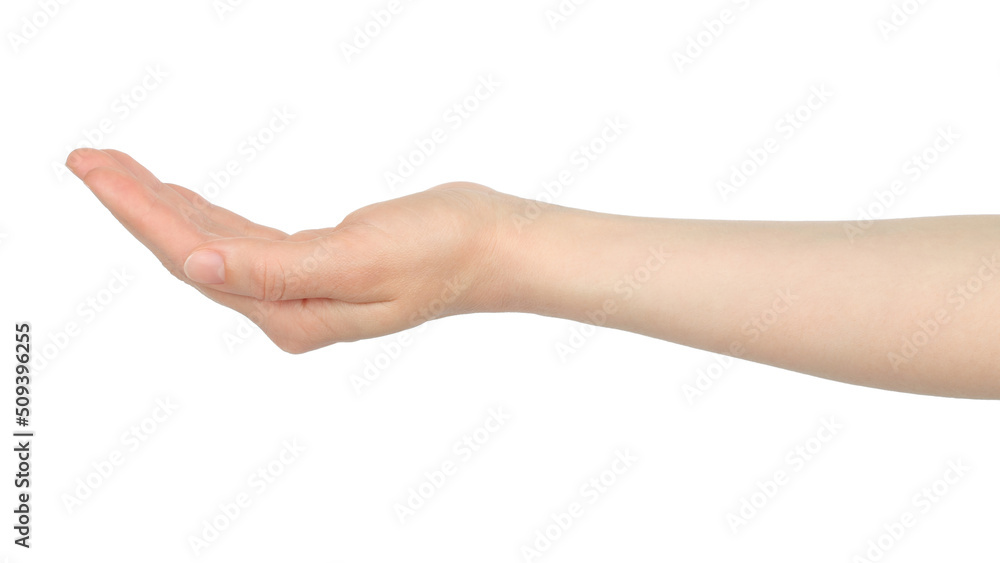 Woman hand shows virtual holding something, on white background Woman hand shows virtual holding something, on white background