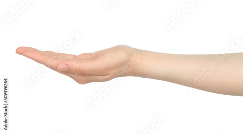 Fotografering Woman hand shows virtual holding something, on white background
