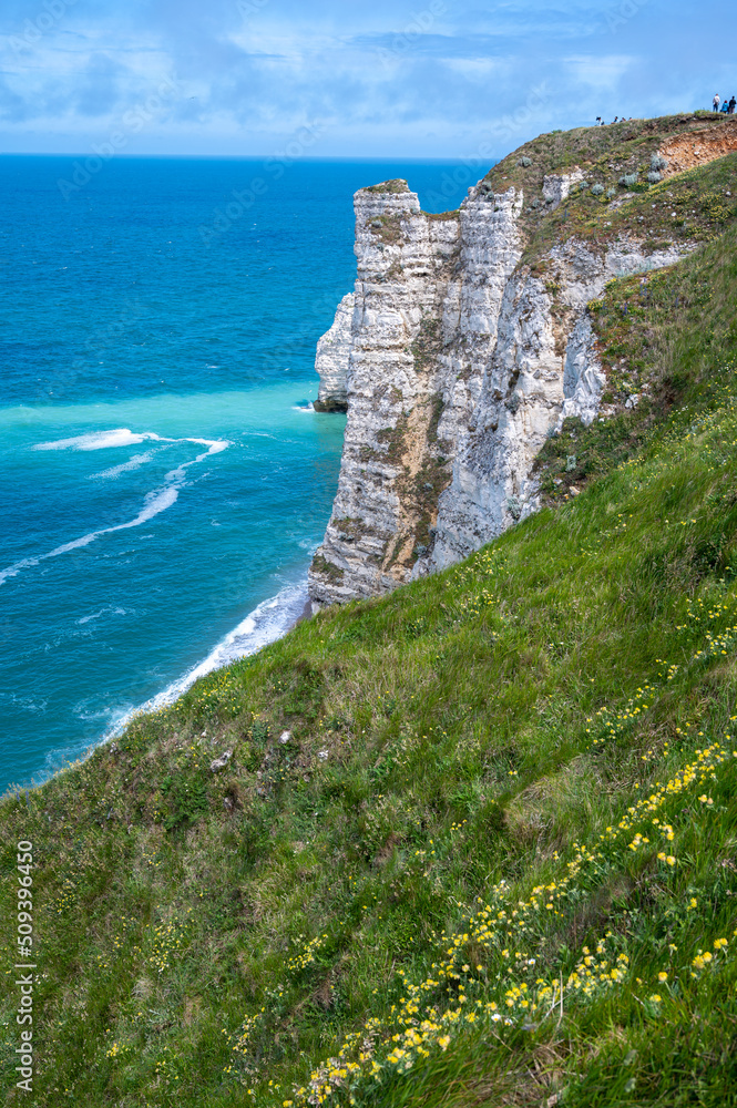 View from chalk cliffs near Porte d'Aval arch in Etretat on summer wild flowers and blue water of Atlantic ocean, Normandy, France. Tourists destination.
