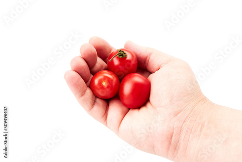 Hand of a man holding three red cherry tomatoes