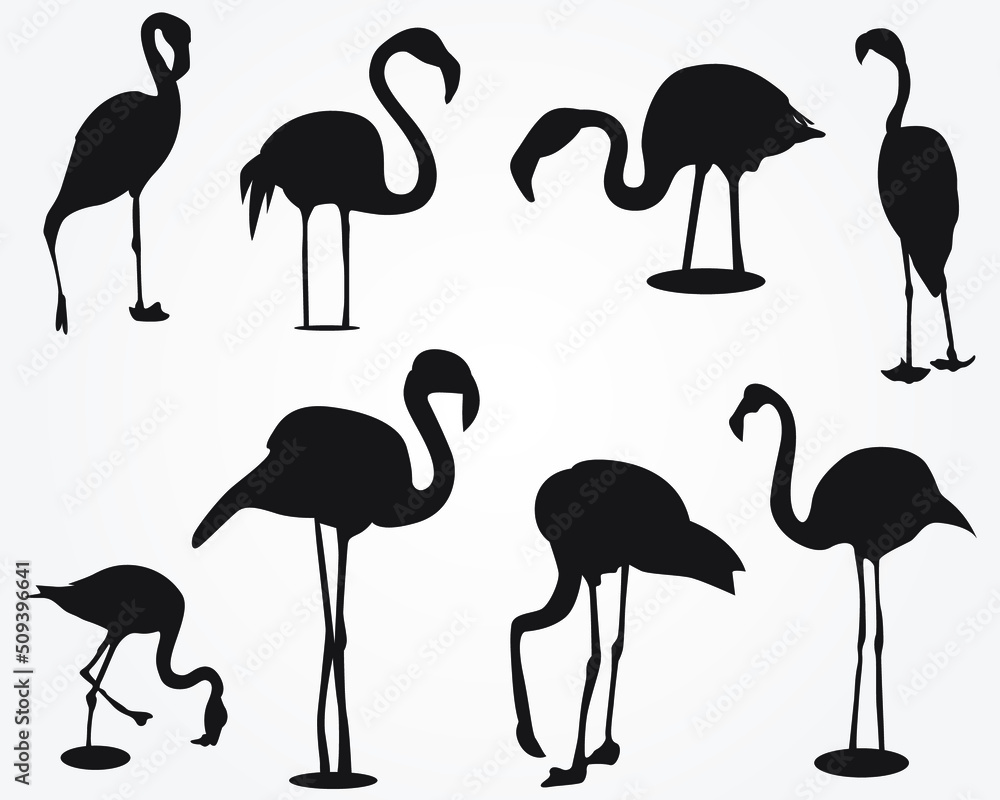 Obraz premium Set of a Black Bird silhouette