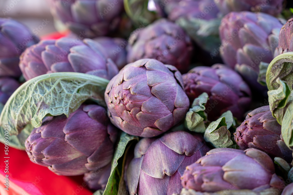 Fresh raw heads of artichokes plants for sale on farmers market Fresh raw heads of artichokes plants for sale on farmers market