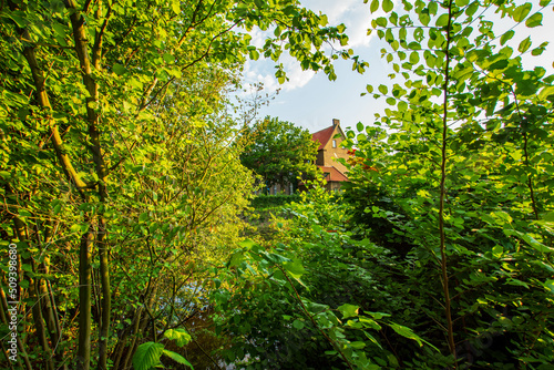 Quadro su tela Green foray through Lüdinghausen