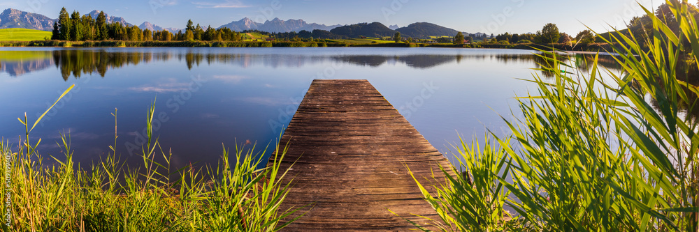 Fototapeta premium beatiful panoramic landscape with meadow and trees