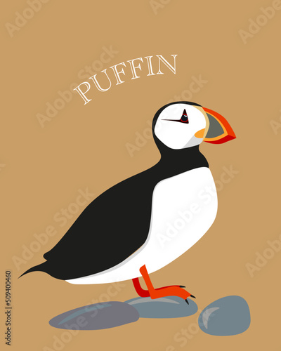 Atlantic puffins on the stones flat vector illustration. North fauna, wildlife. Written Puffin. Red Book bird.  Arctic shore seabird, ocean coast inhabitants isolated on brown background.