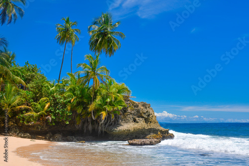 Beach with palm trees