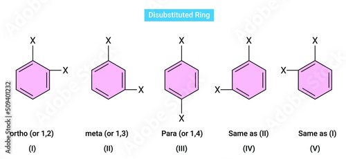 Disubstituted Ring: A disubstituted derivative can be formed by substituting any of the five available hydrogen atoms in the monosubstituted derivative by suitable substituents (x).