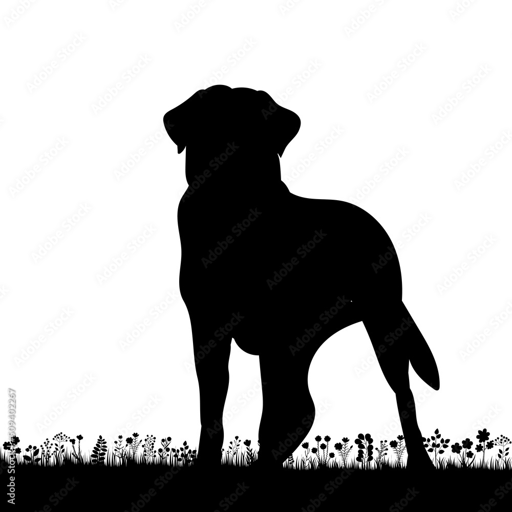 dog on grass silhouette on white background, isolated dog on grass silhouette on white background, isolated