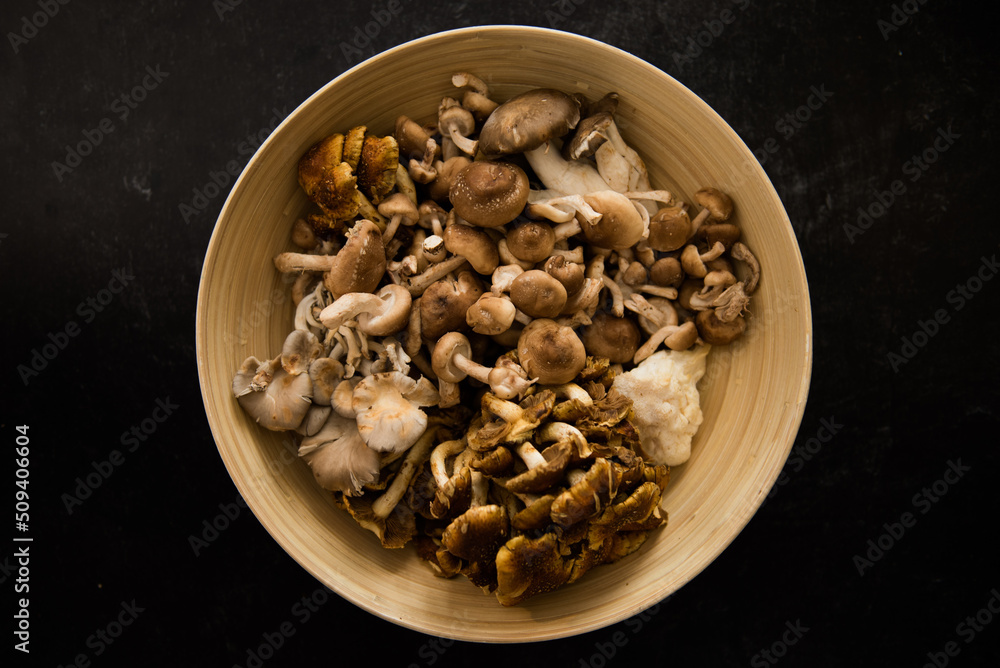 Mixture of wild lion's mane, oyster, cinnamon cap and shiitake mushrooms in bamboo bowl on dark black background. Mixture of wild lion's mane, oyster, cinnamon cap and shiitake mushrooms in bamboo bowl on dark black background.