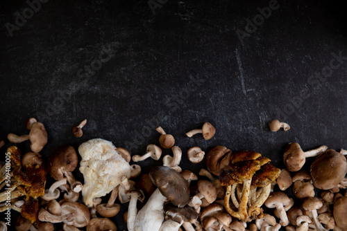 Mixture of wild lion's mane, oyster, cinnamon cap and shiitake mushrooms on dark black background.