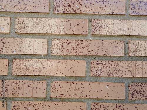 red dotted brick wall background