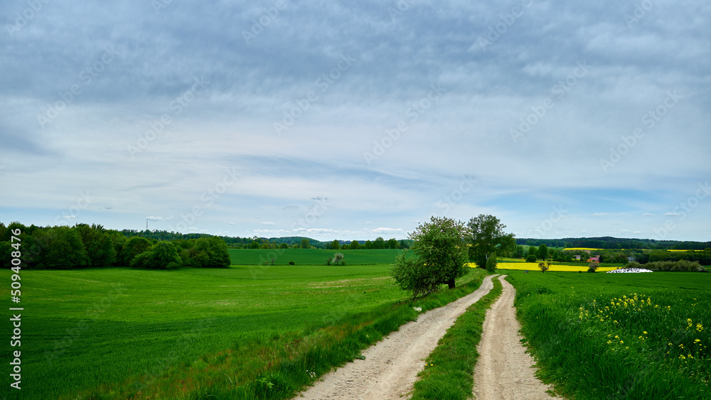 An idyllic springtime rural landscape. A sandy road stretches to the horizon among fresh green fields and forests under a slightly cloudy blue sky.