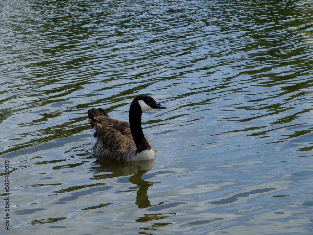 Fototapeta premium Bourbon-l'Archambault (Allier)