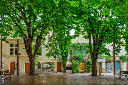 Beautiful trees in summer on a square in the old town of Saint-Remy-de-Provence, Provence, France