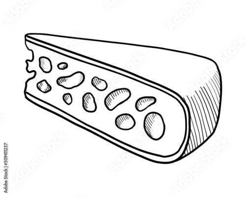 VECTOR CONTOUR DRAWING OF A PIECE OF CHEESE ON A WHITE BACKGROUND