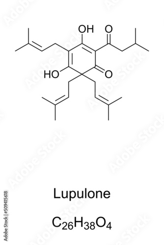 Lupulone, chemical formula and structure. Organic acid found as a component of hops. It was  historically used in beer brewing, has numerous antibacterial and anti-cancer abilities and a bitter taste.