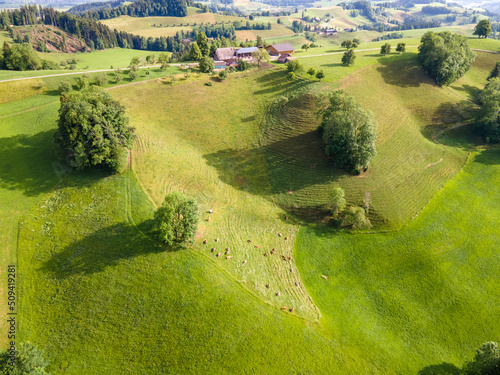 In der Schweiz Napflandschaft photo