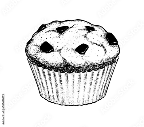 Vector sketch illustration of chocolate Muffin