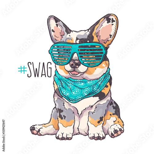 Portrait of the funny Corgi dog with turquoise glasses and bandana. Hashtag Swag - lettering quote. Cute dog puppy for posters, postcards, t-shirt prints. Vector hand drawn style illustration.
