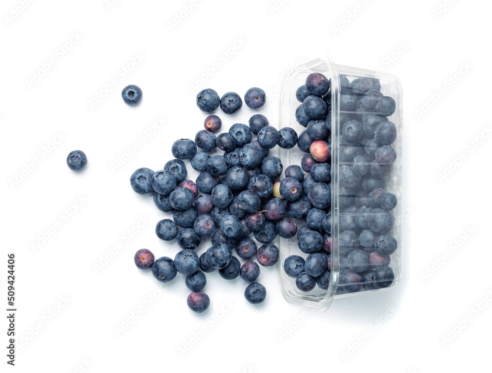 Blueberries, Huckleberry Isolated Blueberries, Huckleberry Isolated