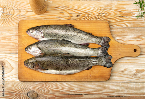 Raw Trout Isolated photo