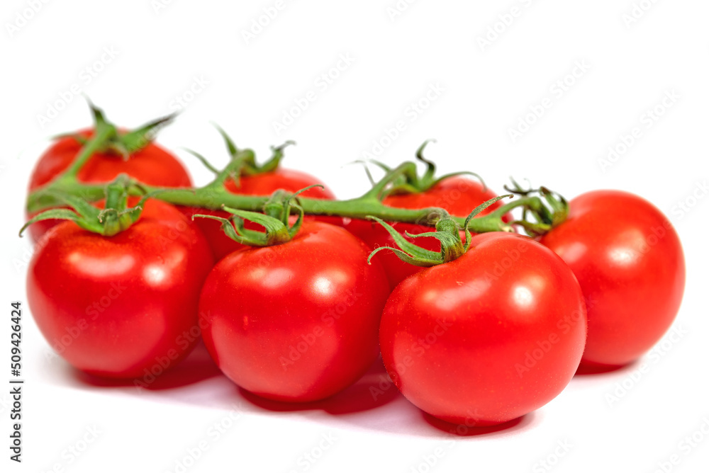 Strauchtomaten isoliert vor weißem Hintergrund Strauchtomaten isoliert vor weißem Hintergrund
