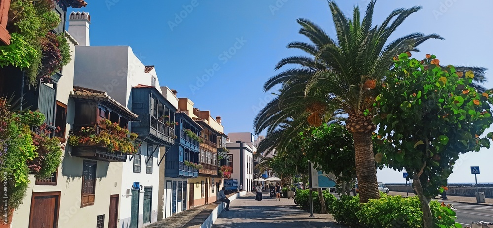 Fototapeta premium Preciosa calle en Santa Cruz de la Palma (Islas Canarias)
