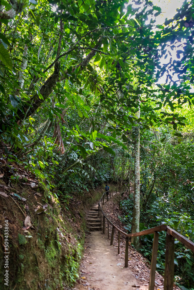 A tourist enjoys the adventure, the roads and landscapes in the Peruvian jungle. A tourist enjoys the adventure, the roads and landscapes in the Peruvian jungle.