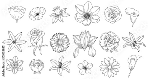 Set abstract elegant line art flower and leaf. Continuous boho line art silhouette of floral artwork