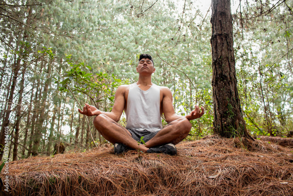 Obraz premium Latin man doing yoga in nature. Healthy lifestyle in nature. Young adult meditating in the middle of trees and fresh air.