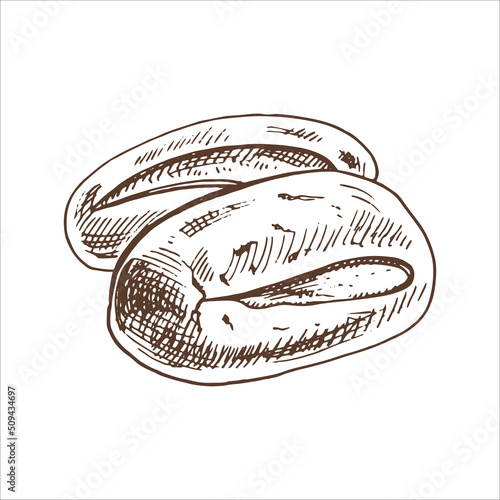 Vector hand drawn illustration of loaf of bread, baguette. Brown and white drawing isolated on white background. Sketch icon and bakery element for print, web, mobile and infographics.