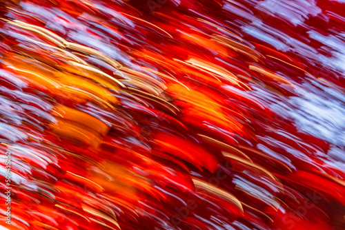 Red Maple Move #2