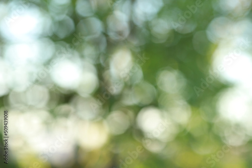 Abstract natural blurred light blue and green background with bokeh