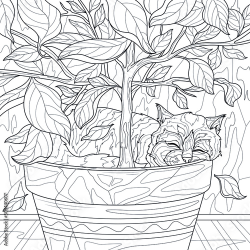 The cat sleeps in a pot with a flower.Coloring book antistress for children and adults. Illustration isolated on white background.Zen-tangle style.