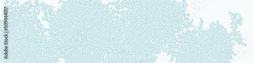 Albert-Laszlo Barabasi algorithm network visualization implementation illustration