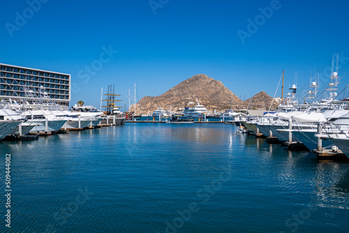 boats in marina