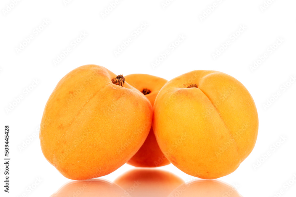 Three ripe sweet apricots, close-up, isolated on a white background. Three ripe sweet apricots, close-up, isolated on a white background.
