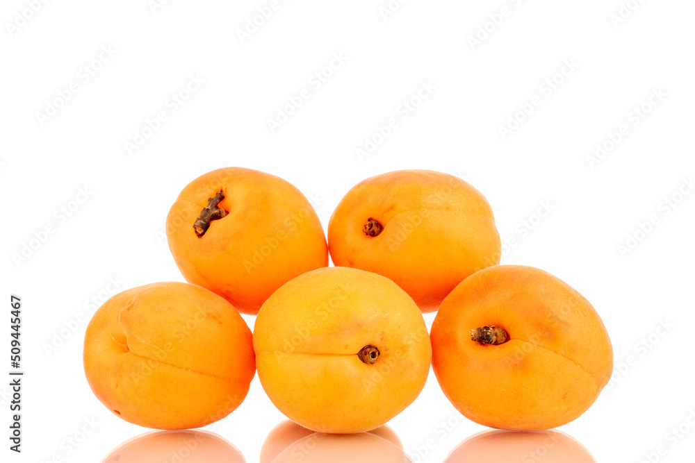 Several ripe sweet apricots, close-up, isolated on a white background. Several ripe sweet apricots, close-up, isolated on a white background.