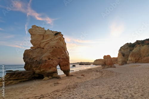 Elephant's head shaped rock on the sand-Praia Amado Beach. Portimao-Portugal-301 photo